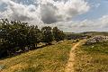 2018_08_08_Auvergne  (0014)